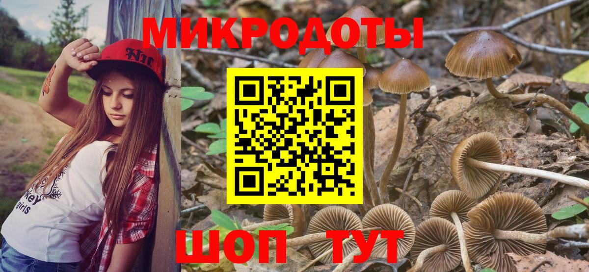Гусев  Галлюциногенные грибы Cubensis  Вход с VPN 