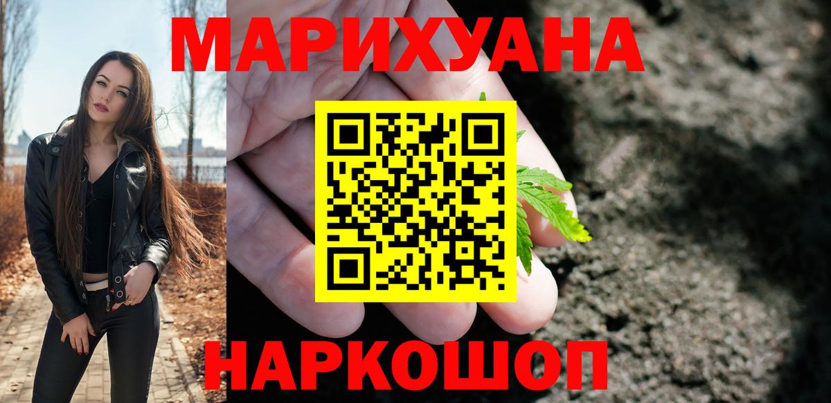 Гусев  Бошки марихуана план  Вход с VPN  Каннабис сатива  Конопля Ganja 